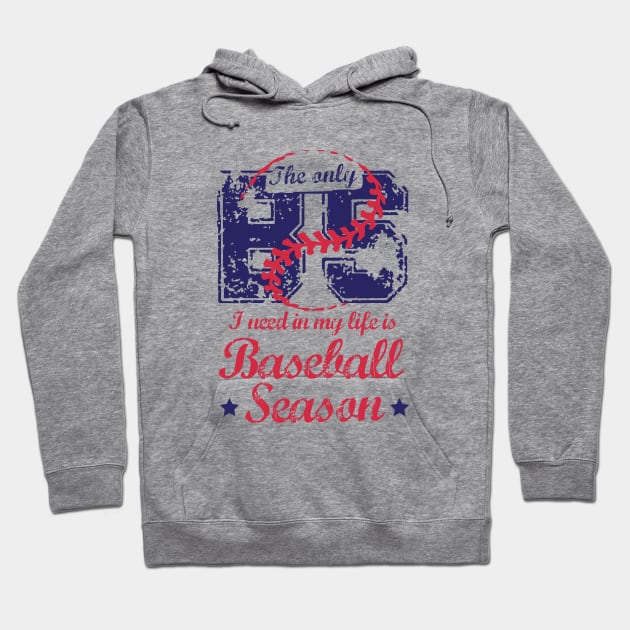 The Only BS I Need In My Life Is Baseball Season Hoodie by Depot33